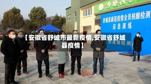 【安徽省舒城市最新疫情,安徽省舒城县疫情】