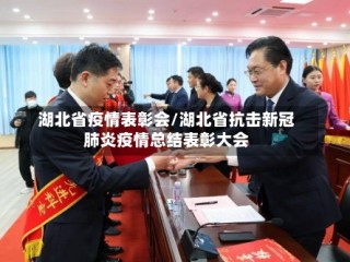 湖北省疫情表彰会/湖北省抗击新冠肺炎疫情总结表彰大会
