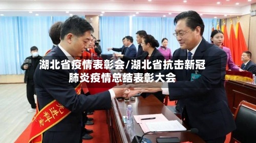 湖北省疫情表彰会/湖北省抗击新冠肺炎疫情总结表彰大会