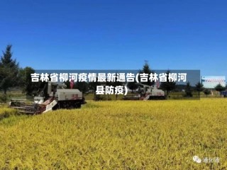 吉林省柳河疫情最新通告(吉林省柳河县防疫)