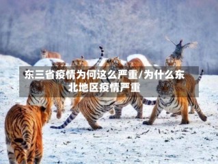 东三省疫情为何这么严重/为什么东北地区疫情严重