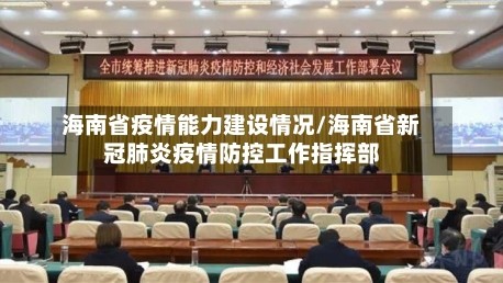 海南省疫情能力建设情况/海南省新冠肺炎疫情防控工作指挥部