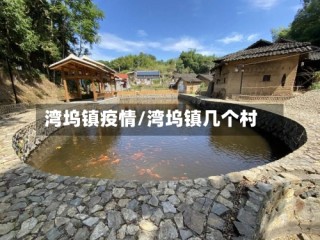 湾坞镇疫情/湾坞镇几个村