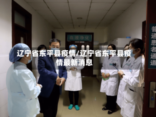 辽宁省东平县疫情/辽宁省东平县疫情最新消息