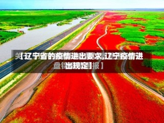 【辽宁省的疫情进出要求,辽宁疫情进出规定】