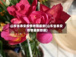 山东省泰安疫情地图最新(山东省泰安疫情最新数据)