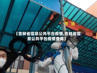 【吉林省信息公共平台疫情,吉林省信息公共平台疫情查询】