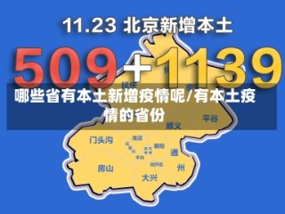 哪些省有本土新增疫情呢/有本土疫情的省份
