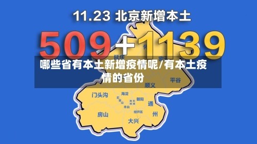 哪些省有本土新增疫情呢/有本土疫情的省份
