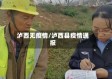 泸西无疫情/泸西县疫情通报