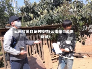 云南省蒙自芷村疫情(云南蒙自最新新闻)