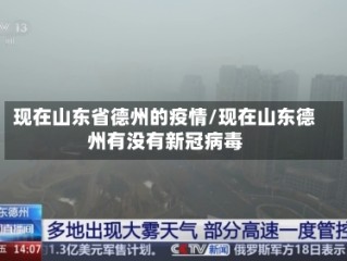现在山东省德州的疫情/现在山东德州有没有新冠病毒