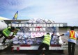财政支持疫情/财政在新冠疫情期间发挥的作用