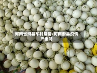 河南省滑县车村疫情/河南滑县疫情严重吗