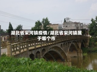 湖北省宋河镇疫情/湖北省宋河镇属于哪个市