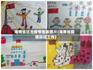海南省抗击疫情图表图片(海南省疫情防控工作)