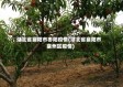 湖北省襄阳市枣阳疫情(湖北省襄阳市襄州区疫情)