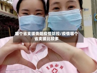 哪个省支援贵阳疫情防控/疫情哪个省支援比较多