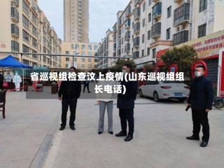省巡视组检查汶上疫情(山东巡视组组长电话)