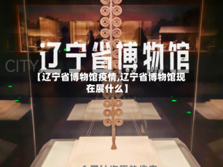 【辽宁省博物馆疫情,辽宁省博物馆现在展什么】