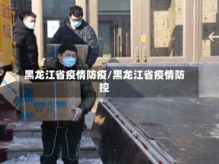 黑龙江省疫情防疫/黑龙江省疫情防控