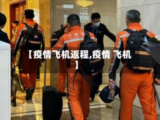 【疫情飞机返程,疫情 飞机】