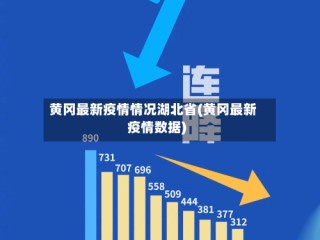 黄冈最新疫情情况湖北省(黄冈最新疫情数据)