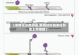 【疫情试剂检测盒,新冠肺炎检测试剂盒工作原理】