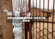 陕西省洛阳疫情最新通告/陕西洛川最新疫情