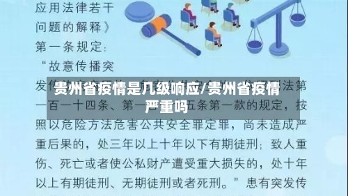 贵州省疫情是几级响应/贵州省疫情严重吗