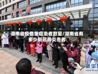 湖南省疫情重症患者数量/湖南省有多少新冠肺炎患者
