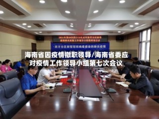 海南省因疫情撤职领导/海南省委应对疫情工作领导小组第七次会议