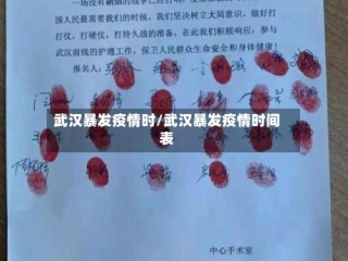 武汉暴发疫情时/武汉暴发疫情时间表