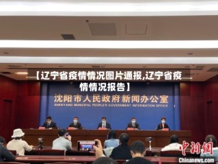 【辽宁省疫情情况图片通报,辽宁省疫情情况报告】