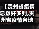 【贵州省疫情总数好多列,贵州省疫情各地市情况】