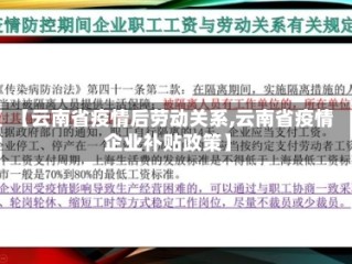 【云南省疫情后劳动关系,云南省疫情企业补贴政策】