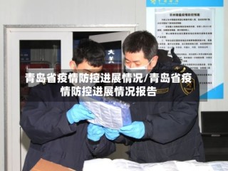 青岛省疫情防控进展情况/青岛省疫情防控进展情况报告