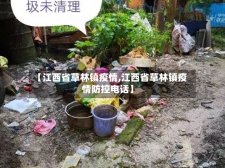 【江西省草林镇疫情,江西省草林镇疫情防控电话】
