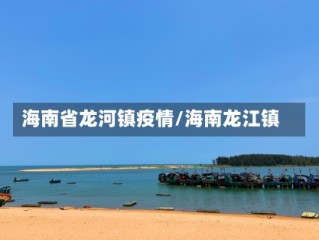 海南省龙河镇疫情/海南龙江镇