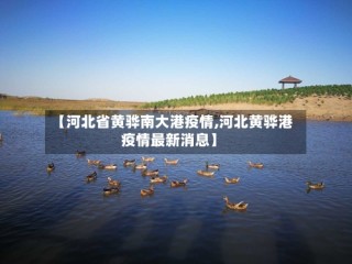【河北省黄骅南大港疫情,河北黄骅港疫情最新消息】