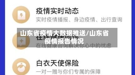山东省疫情大数据推送/山东省疫情报告情况