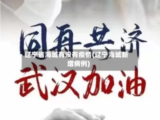 辽宁省海城有没有疫情(辽宁海城新增病例)