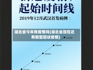 湖北省今年有疫情吗(湖北省现在还有新型冠状疫情)