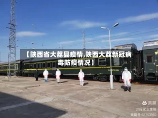 【陕西省大荔县疫情,陕西大荔新冠病毒防疫情况】