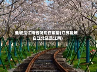 盐城是江南省吗现在疫情(江苏盐城在江北还是江南)
