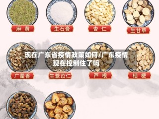 现在广东省疫情政策如何/广东疫情现在控制住了吗