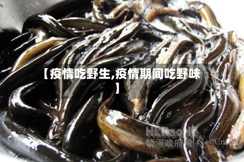【疫情吃野生,疫情期间吃野味】
