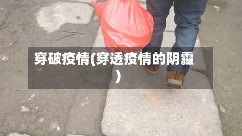 穿破疫情(穿透疫情的阴霾)