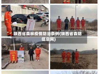 陕西省森林疫情防治条例(陕西省森防信息网)