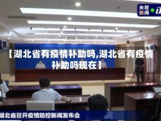 【湖北省有疫情补助吗,湖北省有疫情补助吗现在】